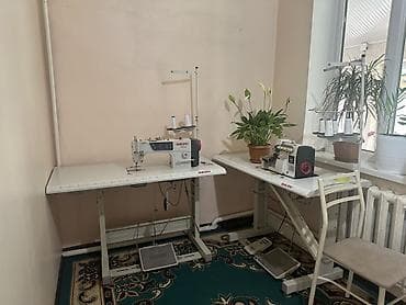 Baoyu, В наличии, Самовывоз — 2