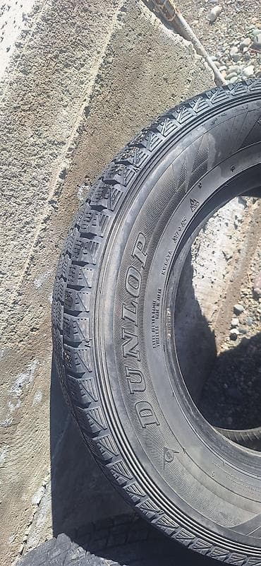 r16 4100: Шины 215 / 70 / R 16, Зима, Комплект, Внедорожные (АТ/МТ), Dunlop — 2