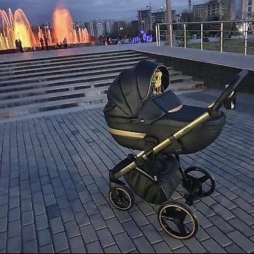 коляска адамекс: Детская коляска 2 в 1 Adamex (модульная система) Модель : Adamex — 5