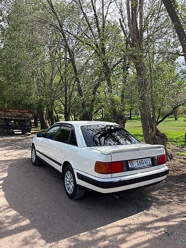 Audi 100: 1992 г., 2.3 л, Механика, Бензин, Седан