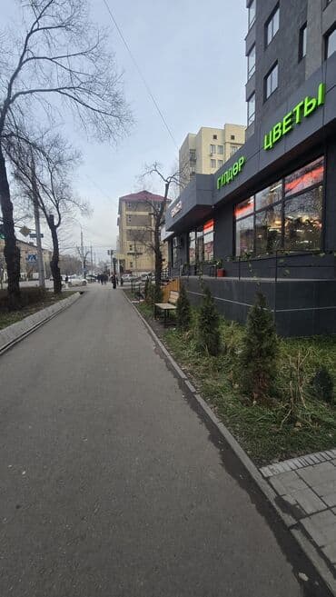 помещение продажа: Сдаю Магазин, В жилом доме, 52 м² С ремонтом, Вода, Канализация, Отопление, 1 линия — 2