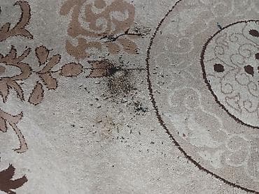 Кургаткычтар: Килем Колдонулган, 400 * 250 — 4