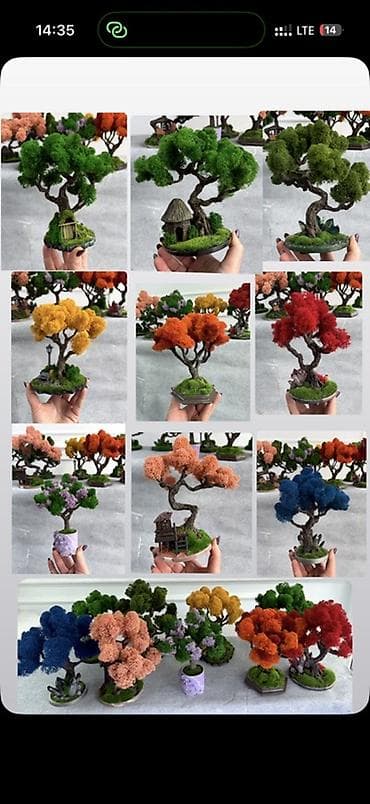 Другой декор и предметы интерьера: Декоративное настольное деревце Бонсай из стабилизированного мха- — 8