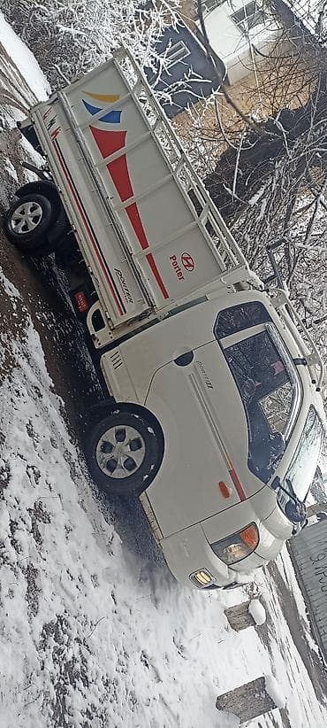 күзгү: Жеңил жүк ташуучу унаа, Hyundai, Стандарт, 3 т, Жаңы — 10