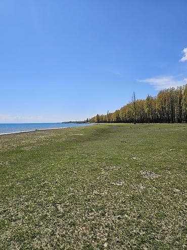 5 соток, Для строительства, Красная книга — 5