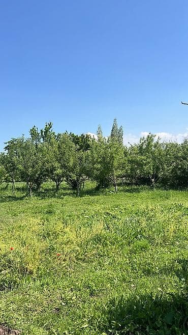 заречн: 10 соток, Для строительства, Красная книга — 3