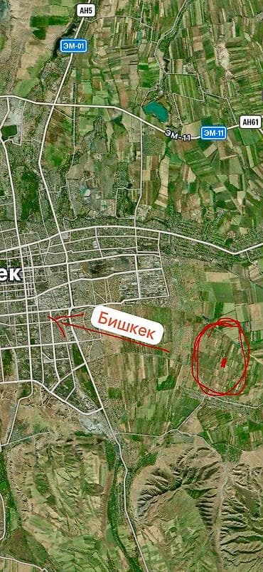 ско: 65 соток, Для бизнеса — 2