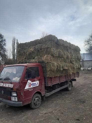 bmb m5: Volkswagen : 1991 г., 2.4 л, Ручные, Дизель, Седан — 2