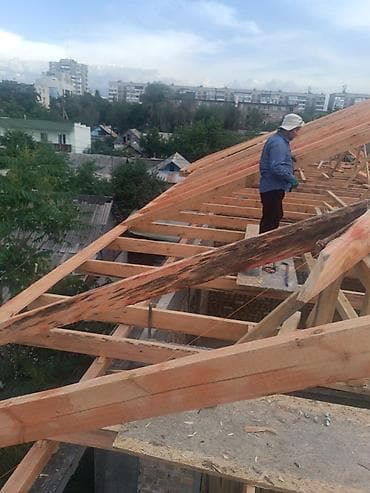 брюки клещ: Кыршанын баардык түрүн жабабыз келишим баада ( сайник слив дагы — 10