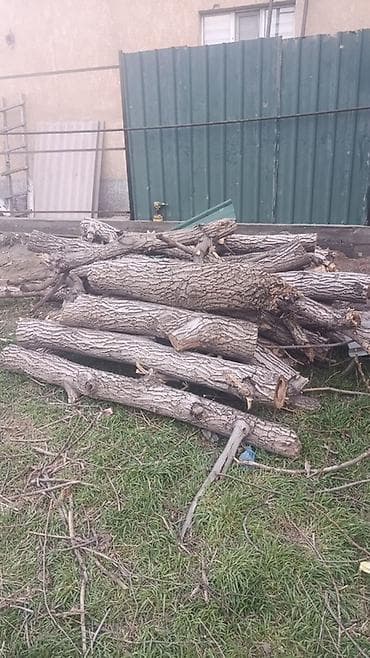 Уголь: Дрова Дуб — 1