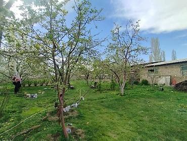 сдаю дом в пригородном: Дом с участком и хозяйственными постройками - Жилой дом на закрытом — 4