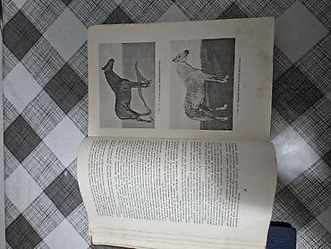 Книги и журналы: Продаю редкую книгу. Тираж-25тыс .экз. Год выпуска 1952. ( Москва ) — 6