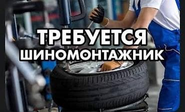 ТТС, унаа бизнеси: Талап кылынат Унаа механиги - Шиналарды монтаждагыч, Кирешеден пайыз, Тажрыйбасы бир жылдан аз, Окутуу — 1