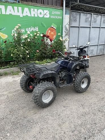 квадроцикл 125: Квадроцикл Yamaha, Бензин, 200 куб. см, Взрослый — 2