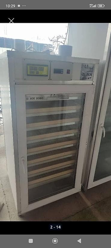 швед уйлар: Инкубатор Инкубатор Инкубатор . Россия. Большой.Бонита. электрический — 6