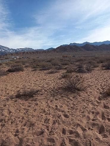 Жер тилкелери: 3000 соток, Курулуш — 1