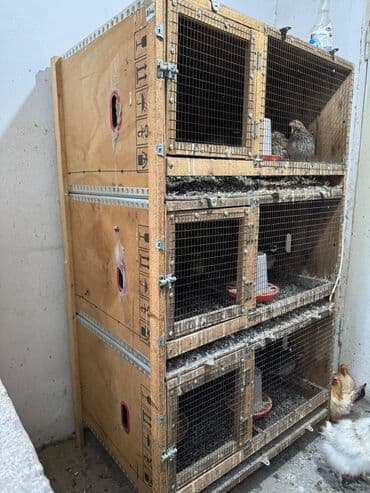 будка собаки: Продается клетка — 2