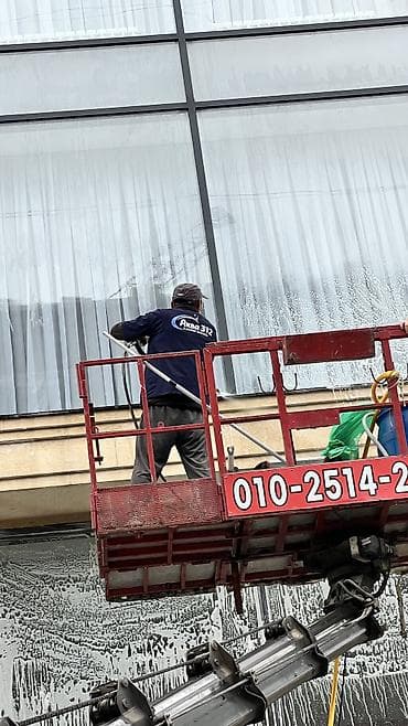 для растений: Уборка территории, Мойка фасада — 2