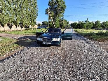 чехолы авто: Mercedes-Benz W124: 1994 г., 2.2 л, Автомат, Газ, Седан — 3