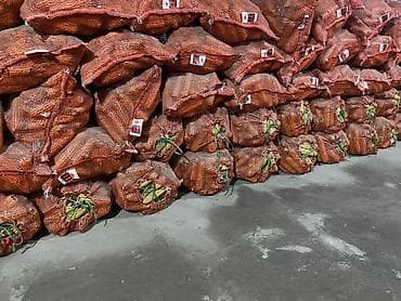 аквариумы с рыбками: Кукуруза в початках в сетчатых мешках - Натуральная кукуруза в — 2