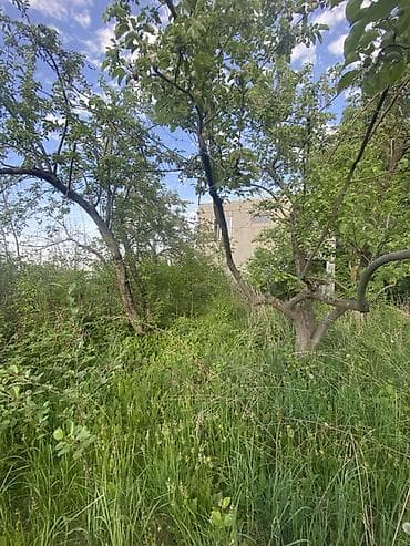 купить жилье в бишкеке: Ищу порядочных жильцов на дачу в с.Байтик. Условий нет, для тех кто — 2