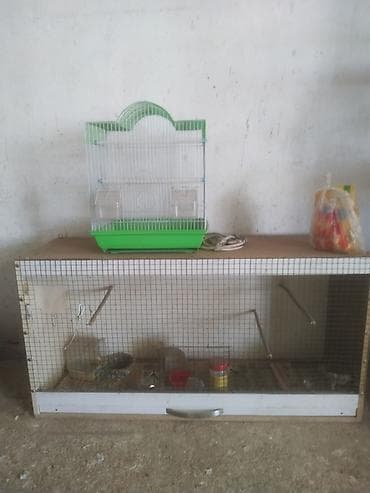 ручной попугай: Комплект клеток и аксессуаров для птиц Состав: - Большая напольная — 1