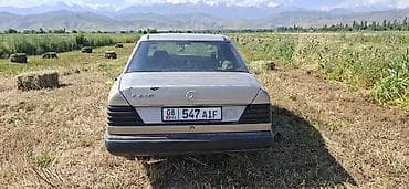 Mercedes-Benz W124: 1988 г., 2 л, Механика, Бензин, Седан