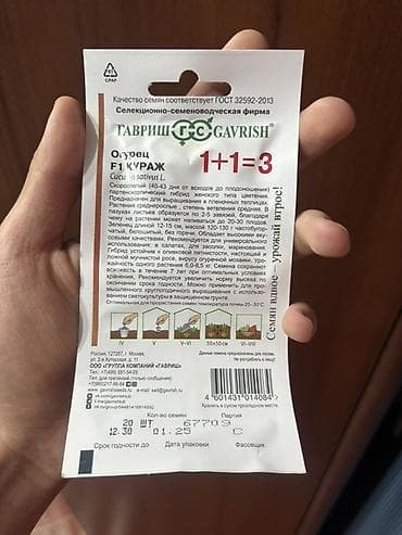 кок бору ат: Огурец F1 Кураж — семена от селекционно-семеноводческой фирмы Гавриш — 2