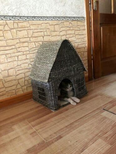 Кошкин дом.Плетенный ручная работа. Выс.52.шир.30см.дл.43см. Цена 2200
