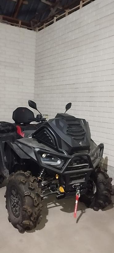 Квадроцикл Segway (табличка Segway Technology Co., LTD, класс T3b) — 1
