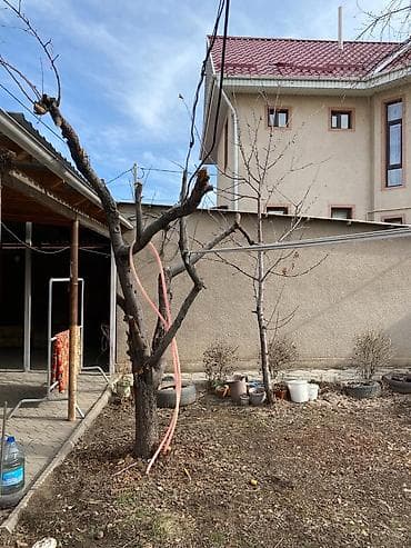 кок жар село: Продается 4-комнатный дом с бизнесом адрес: ж/м кок-жар, ул. Шоокум — 4