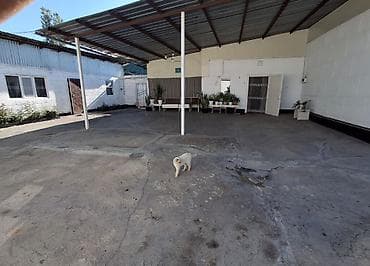 барачные дома: 1000 м² — 6