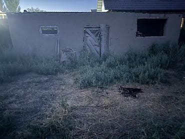 🏡 Продаётся дом в селе Степное!! 📍 Участок с домом — 49 соток 🌾 — 7