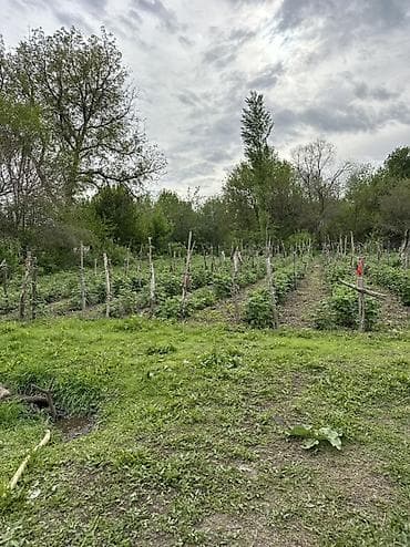 15 соток, Для сельского хозяйства — 4