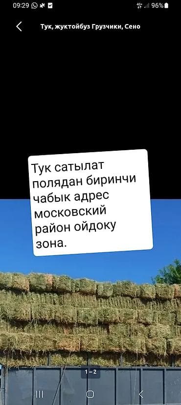 Сено в тюках, первая укоска с поля. Прессованное, прямоугольные тюки