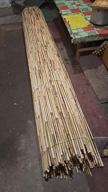 коты бишкек: Башка жаныбарлар — 5