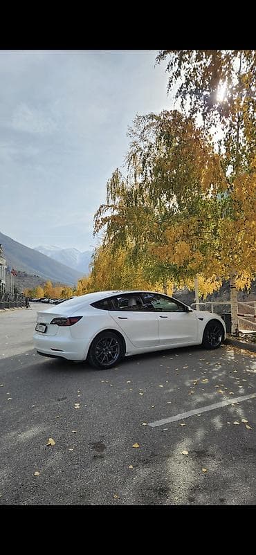 лупа фара: Tesla Model 3: 2023 г., 0.1 л, Автомат, Электромобиль, Лифтбек — 2