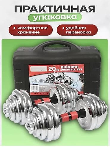 Электр транспорту: Разборные хромированные гантели в кейсе, общий вес набора 20 кг — 1
