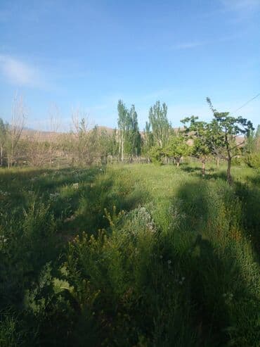 уборка садового участка: СРОЧНО ПРОДАЮ участок 1,5гаили меняю на квартиру в Бишкеке. Участок — 10