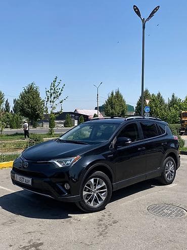 подушка даф: Toyota RAV4: 2017 г., Автомат, Бензин, Кроссовер — 6