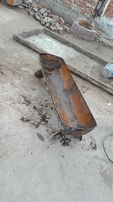 ветврач сокулук: Сатам | Козу | Гиссар, Меринос, Арашан | Союуга, Көбөйтүү үчүн | Токту, Козулаган — 2