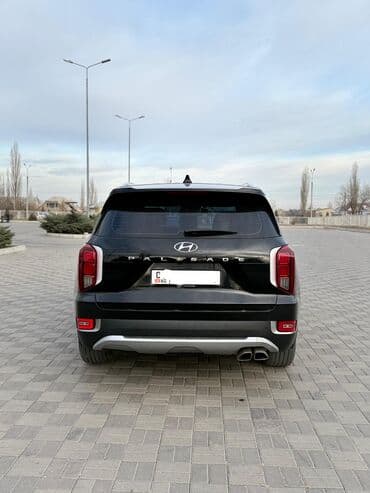 защитное стекло на мотоцикл: Hyundai Palisade: 2019 г., 2.2 л, Автомат, Дизель, Кроссовер — 4