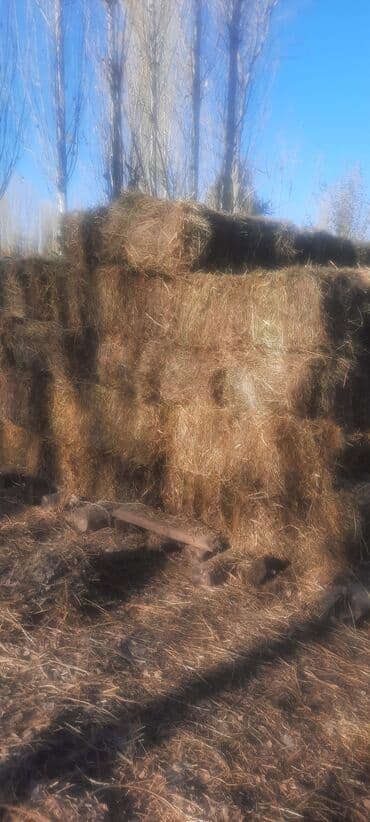 купить измельчитель травы и сена: Сено в тюках - Тюки прямоугольной формы, стандартного размера, плотно — 2