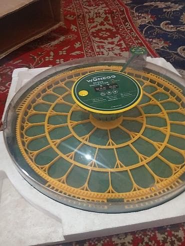 Өндүрүш үчүн жабдуулар: Инкубатор для яиц Wonegg, модель на 52 яйца - Вместимость: до 52 — 2