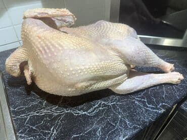 офисные кресла бишкек цены: Продаю чищеных индюков домашний — 3