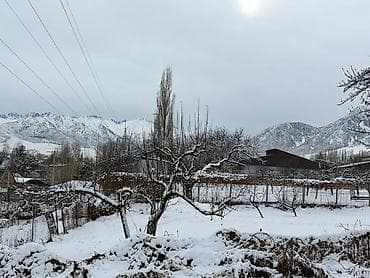 участок юишкек: 28 соток, Для строительства, Красная книга, Договор купли-продажи — 6