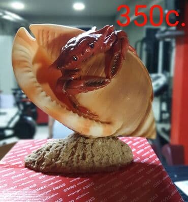 монеты разных стран: СУВЕНИРЫ-распродажа. Подарки — 14