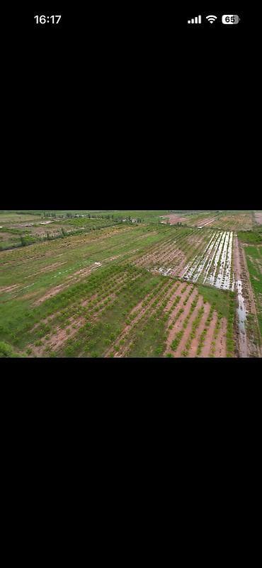 куплю поля: 400 соток, Для сельского хозяйства, Красная книга — 4