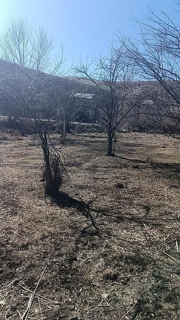 квартира в оше: 17 соток, Для строительства — 6