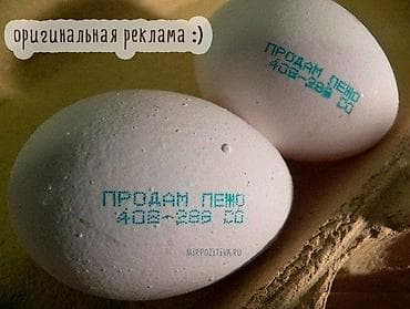 Тармактык маркетинг: Мужчина 40 лет без вредных привычек ищет работу — 1